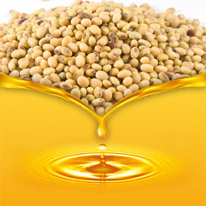 Soya Oil زيت الصويا